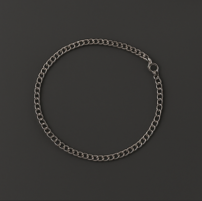 Silver Chain Bracelet